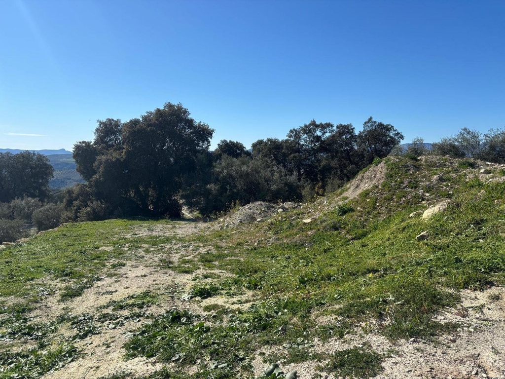Finca rústica de 1,5 Ha en Loja (La Bartola): cortijo, nave legalizada y equipamiento incluido — inversión llave en mano con la documentación auditada.